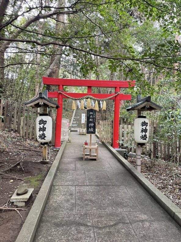 伊古奈比咩命神社 本殿への参道