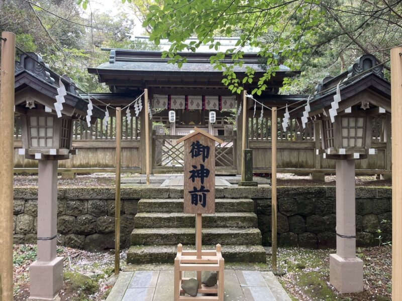 伊古奈比咩命神社 本殿